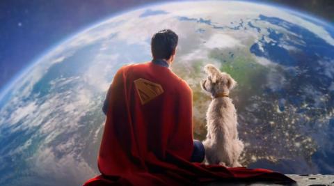 superman and krypto