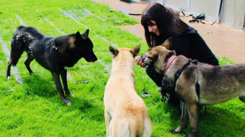 Lee Herron with three of the dogs