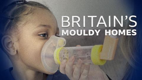 Panorama: Britain's Mouldy Homes