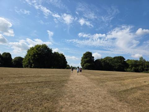 Mottisfont, Hampshire