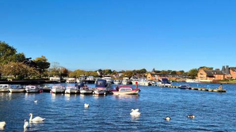 Swans and boats on bright blue water in the foreground with trees and houses behind and blue sky above