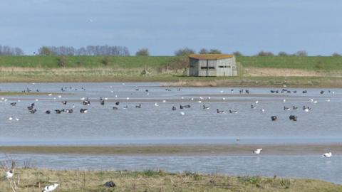 View over Frampton Marsh