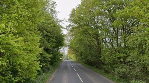 A tree-lined rural road with no cars on it.
