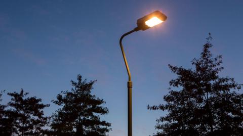 A lit street light and silhouetted foliage against blue sky at dusk.