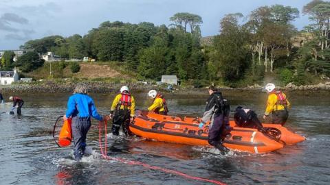 Dolphins rescue