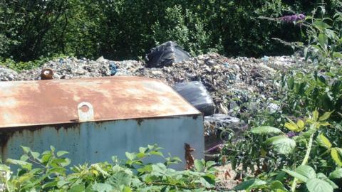 A pile of rubbish in a grassy area. In the foreground, a rusting metal container can be seen. In the background, a line of trees.