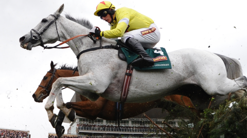 Neptune Collonges clears a jump at the 2012 Grand National