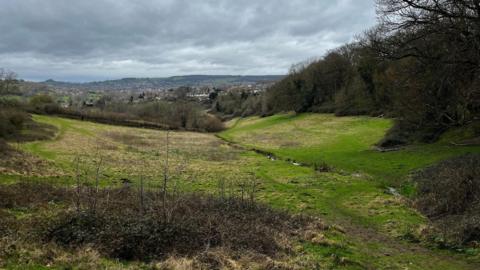 A small valleyed hill with a stream running through it with a town in the distance