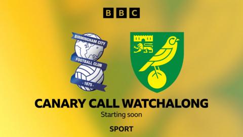 Birmingham City badge and Norwich City crest 