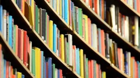 Dozens of books of all colours on library bookshelves