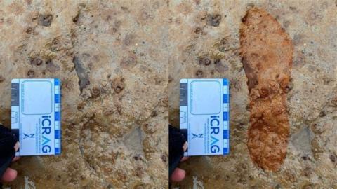 composite image showing close up of a footprint shape in rock with a small ruler next to it