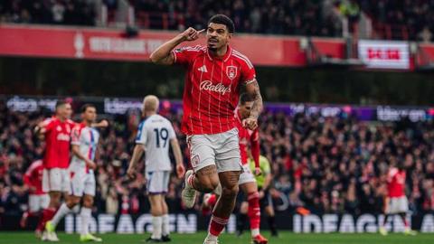 Morgan Gibbs-White celebrates scoring
