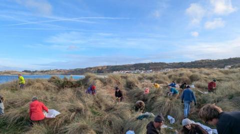A group of people dressed in hats and jackets are spread out across a sand dune amongst large clumps of tufty marram grass. Some of them have rubbish bags.
Their clothes are a range of colours and someone with a bright red coat has their back to the camera, whilst another has a high vis fluorescent yellow jacket. the dune is on the edge of a bay with an azure blue sea and houses to the right.