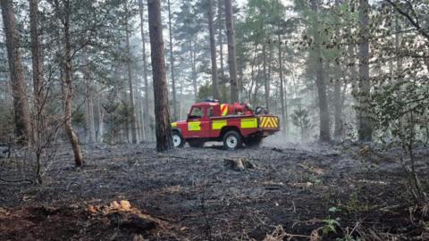 4x4 fire vehicle in woodland with smoke rising and black charred ground due to fire.