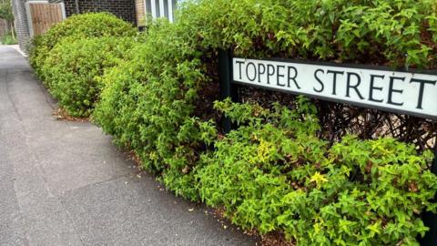 A road sign for Topper Street is surrounded by neat shrubs.