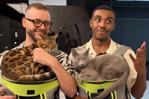 A screenshot from the video, showing two men with two sleeping cats sat on cat carriers. The men are looking away from the camera, in mid-conversation.
