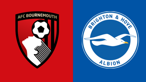 Bournemouth and Brighton club badges