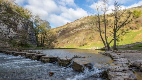 Tree branches caught in the stepping stones at Dovedale after being washed down the River Dove after heavy rainfall.