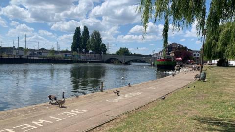 River Nene, by the embankment, with ducks seen on the river bank. 