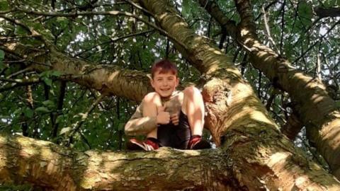 A boy giving a thumbs up while climbing in a tree