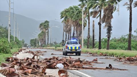 Fallen tree debris along a road left behind by Hurricane Melissa in Kingston