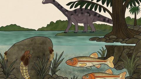 An artist impression of the flies clinging to the rock in a river bed also in the picture are fish and a long-necked dinosaur on land.
