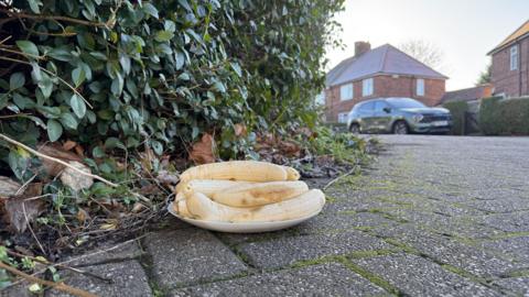 A plate of bananas sits on a street in Nottingham with a house in the background. 