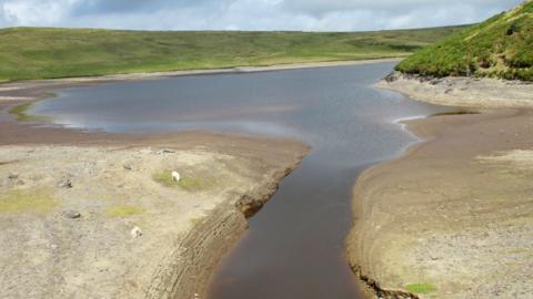 Llyn Aled Isaf
