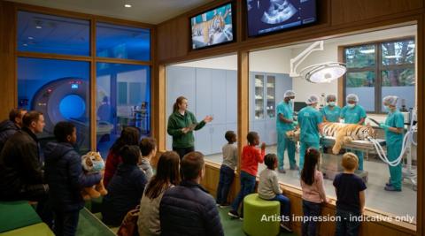 CGI artist’s impression of a veterinary operating theatre where a sedated tiger is being treated by staff, with visitors watching through a glass viewing gallery.