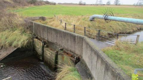 Tidal structure at Greatham Marsh