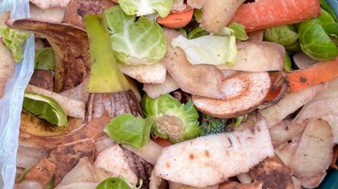 Carrot, potato, parsnip and other vegetable peelings lie in a food waste bin.