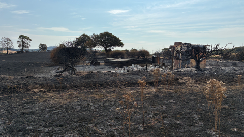 A blackened field with the remains of a building standing in the middle