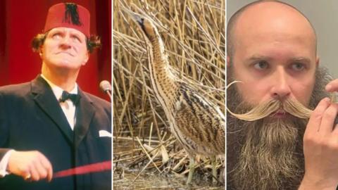A collage of three images featuring from left to right the comedian Tommy Cooper, who wears a dark suit with a bow tie and red fez, a tall bird amid reeds, and a bearded man with an elaborate moustache.