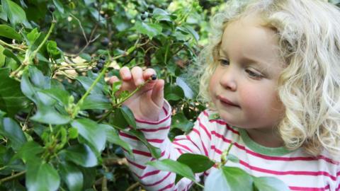 A young member of Manx Wildlife Trust