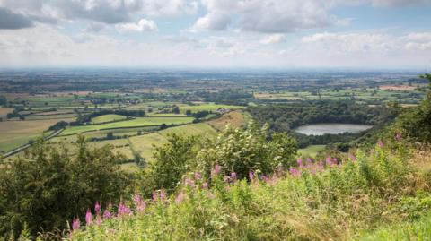 View from a height of a large vale of green fields stretching miles into the distance. There is a lake surrounded by woodland, and trees and plants with pink flowers in the foreground.