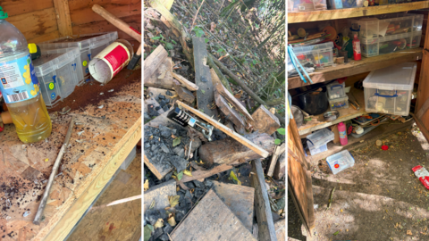 A composite of three pictures. The left image shows oil and food resources tipped out on to one of the shelves in a shed. The image in the centre shows a broken padlock still attached to part of a shed door it came from. The right image shows storage boxes disturbed and some of their contents thrown on the ground.
