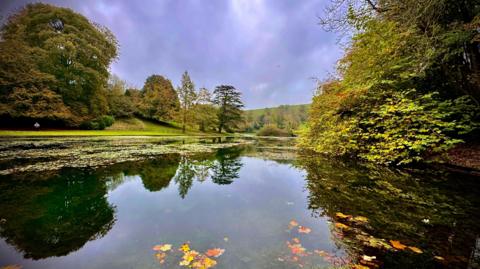 A large pond containing several colourful leaves in the foreground and surrounded by green grass and trees. The clouds in the sky are a dark shade of grey. 