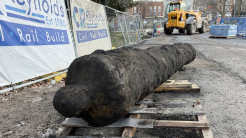 The photo shows a black iron cannon that is laid on a wooden pallet on the ground. Behind it is an orange excavator. There is metal fencing to the left, with white and blue banners reading 'CR Reynolds' on them. 