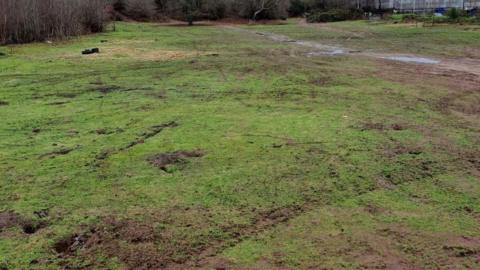 An area of grass land has tyre marks across it with small divots dug up. In the distance, several trees can be seen.