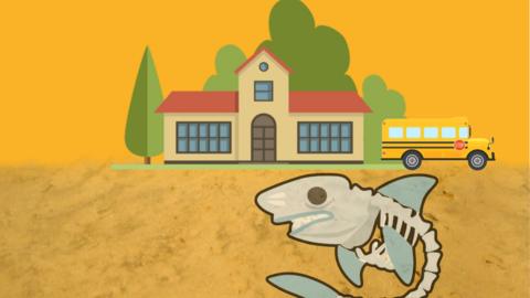 Illustration of a shark fossil under a school building.