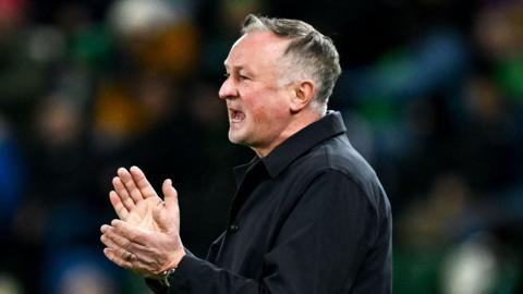 Northern Ireland manager Michael O'Neill