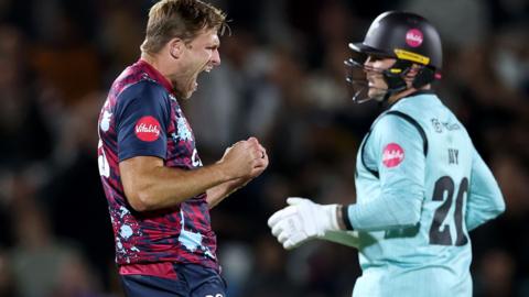 David Willey celebrates wicket
