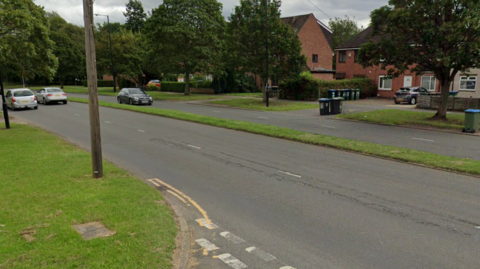 A google street view image of a causeway in a residential area with grassland verge in the middle.