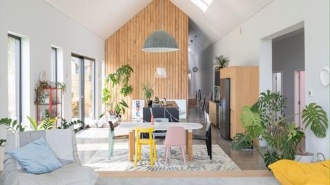 A bright kitchen and living room space which has white walls and a wooden feature wall.