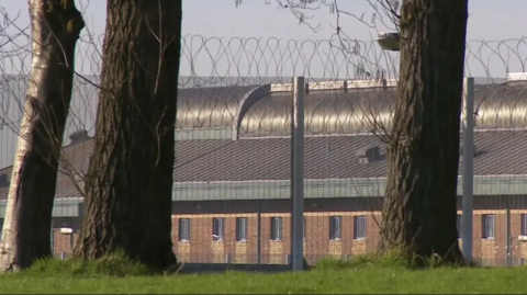In the foreground of the image is a grassy bank and three trees, in the background there is a barbed wire fence, and behind it a large building with lots of windows