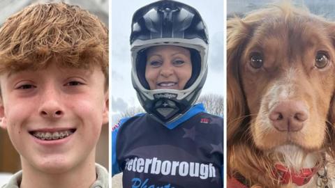 An edited image shows a close-up of a teenage boy's face, a woman wearing a cycling helmet and a spaniel dog