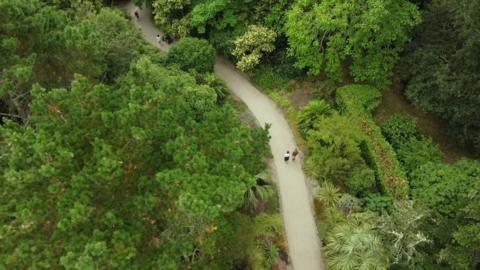 An arial view of Glendurgan Gardens