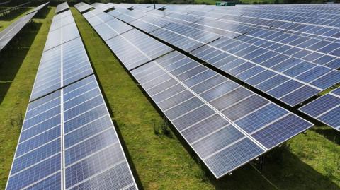 Solar panels in a field.