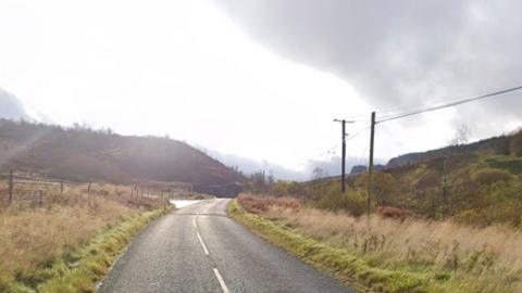 A rural road in the Borders with grass, trees and hedges up either side
