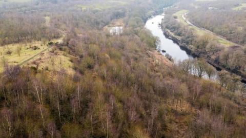 A large clump of trees on a slope next to a river, pictured from overhead.